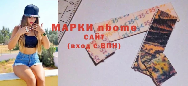 мдпв Инсар