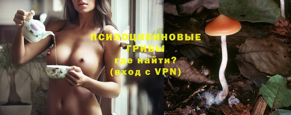 мдпв Инсар