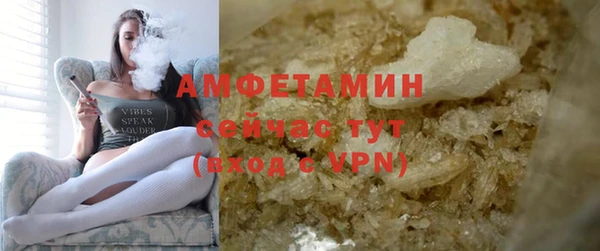 мдпв Инсар