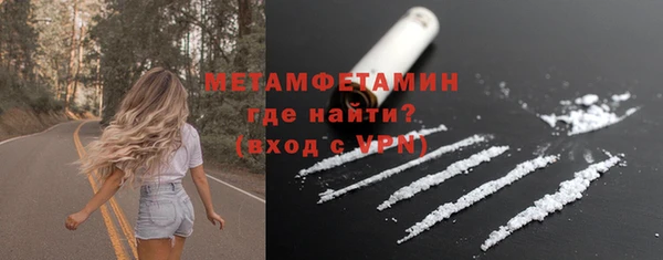 мдпв Инсар