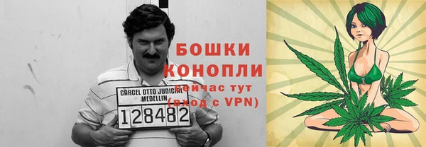 мдпв Инсар