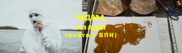 мдпв Инсар