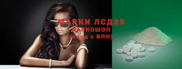 мдпв Инсар