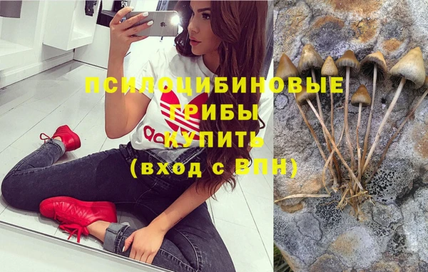 мдпв Инсар