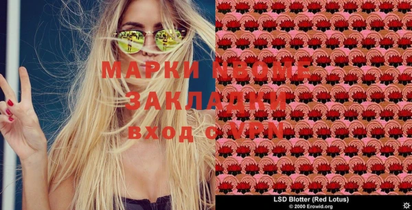 мдпв Инсар