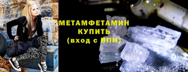 мдпв Инсар