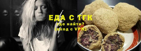 мдпв Инсар