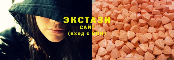 мдпв Инсар